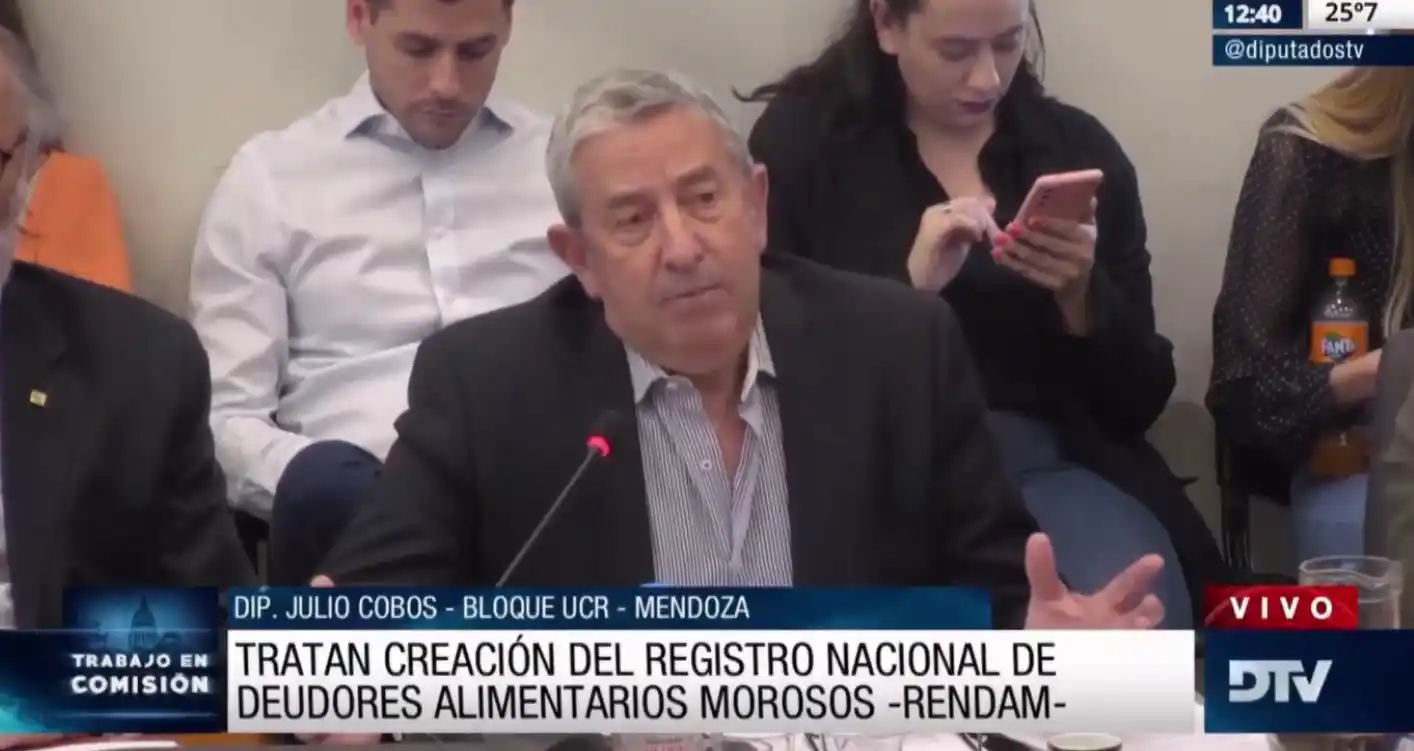 Avanza en Diputados un proyecto para crear un Registro Nacional de Deudores Alimentarios
