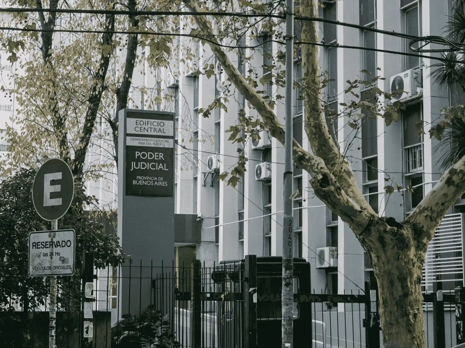 Tribunales MDP
