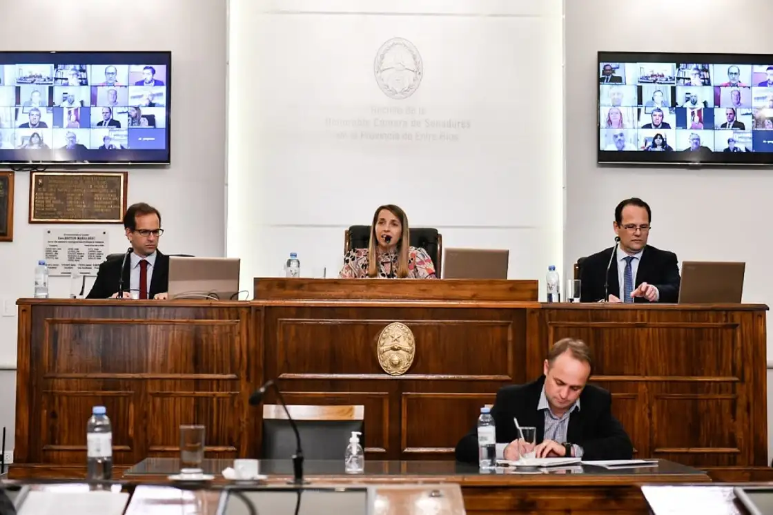 Por primera vez en su historia, el Senado provincial sesionó por videoconferencia