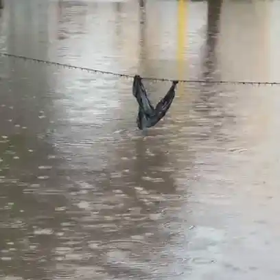 La fuerte lluvia anegó la Escuela Nuestra Señora de Fátima en Barranquitas