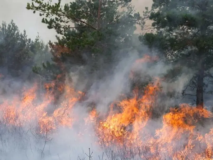 El fuego en Chubut no cesa y piden “extrema precaución” para circular por Ruta 40