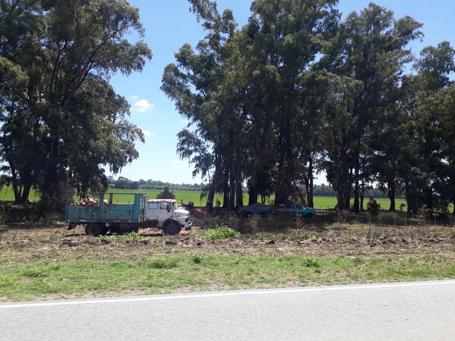 Tras los incendios, oportunistas cargaron camiones con leña que hicieron de árboles de banquinas