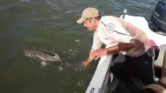 Pesca: dónde está el pique en plena pandemia