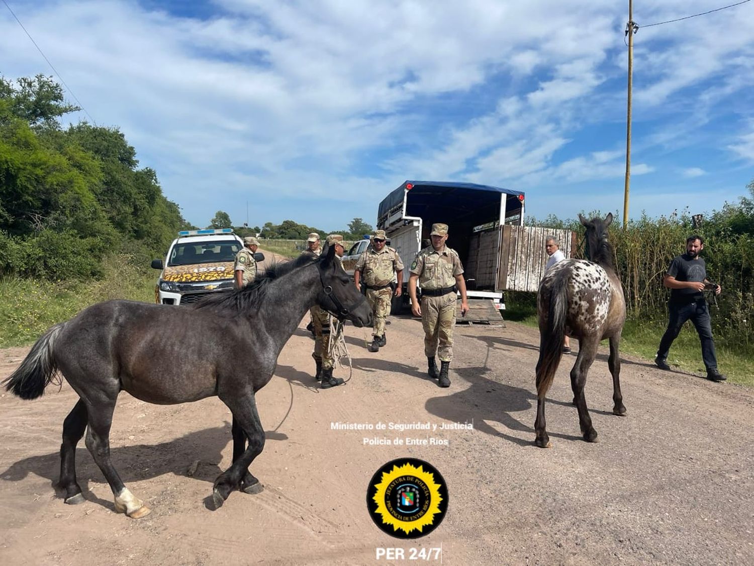 Secuestraron ocho caballos en un operativo de Veterinaria y la Brigada de Delitos Rurales