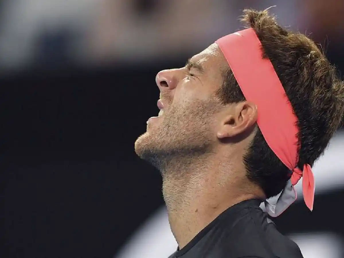 Del Potro perdió y se despidió del Abierto de Australia