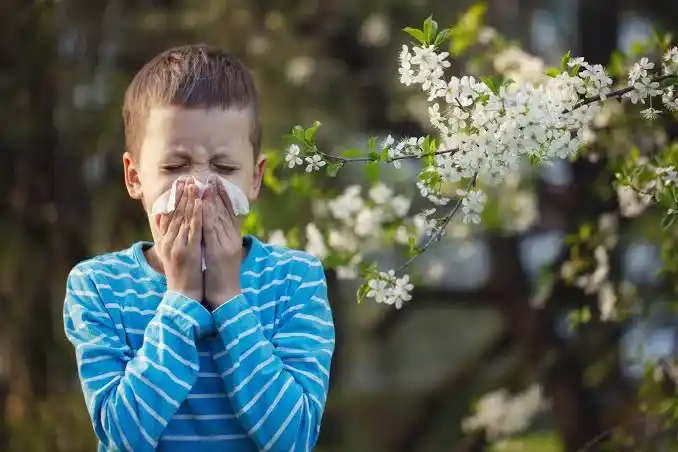 Primavera y alergias: cómo reconocer los síntomas y prevenirlos