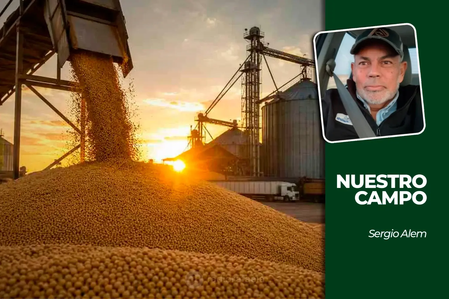 Cañuelas sumó 5.496 cabezas y el novillito promedió 4.599,15 pesos