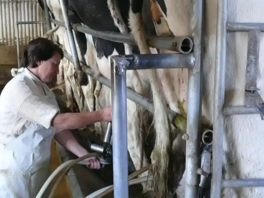 23 de febrero: reconocimiento al primer eslabón de la cadena láctea.