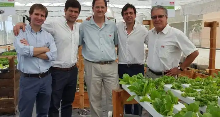 Verduras para el comedor de Margarita