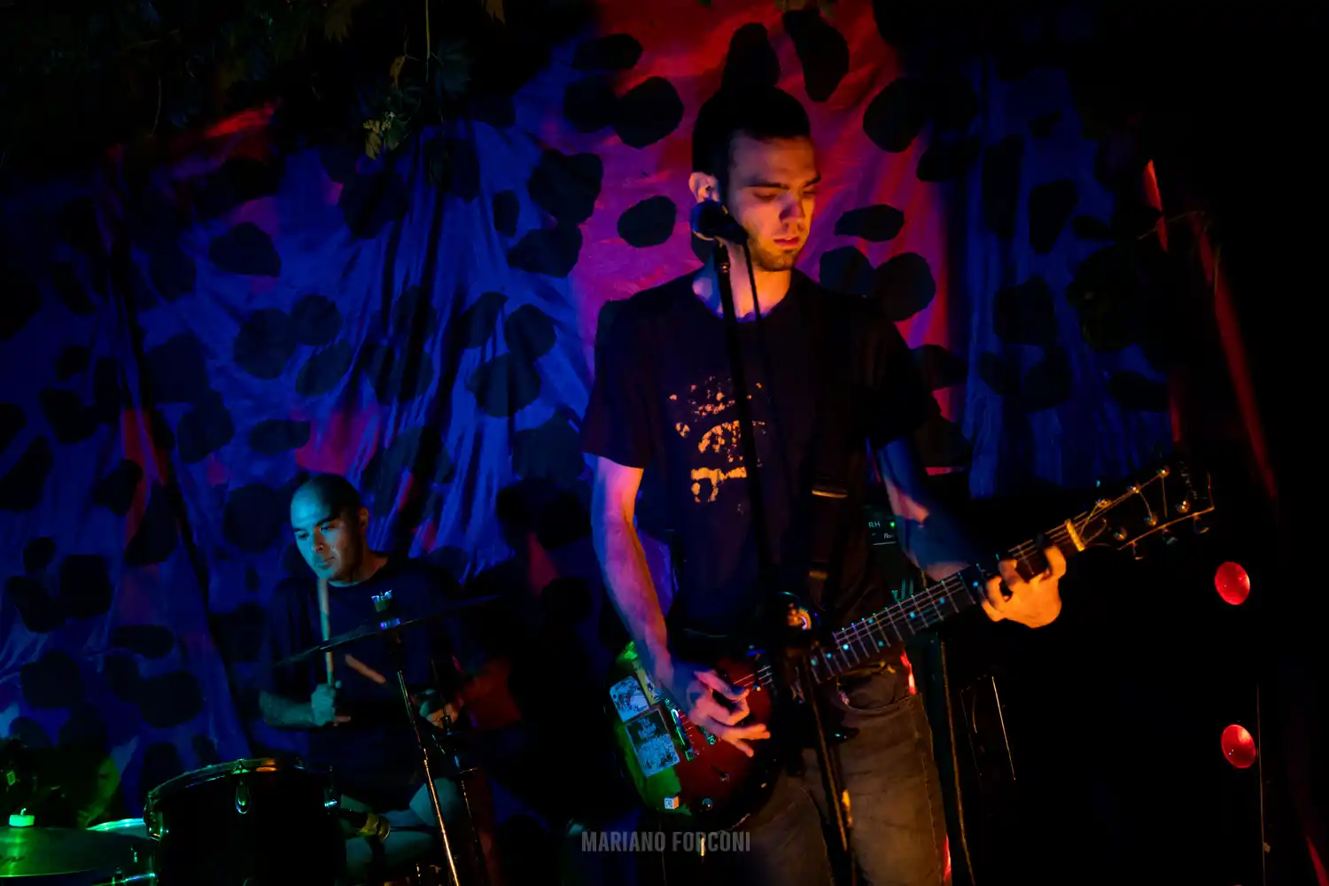 Floresta Punk