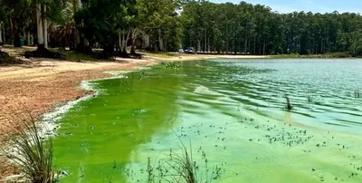 El gobierno de Entre Ríos no da respuestas sobre el lago contaminado