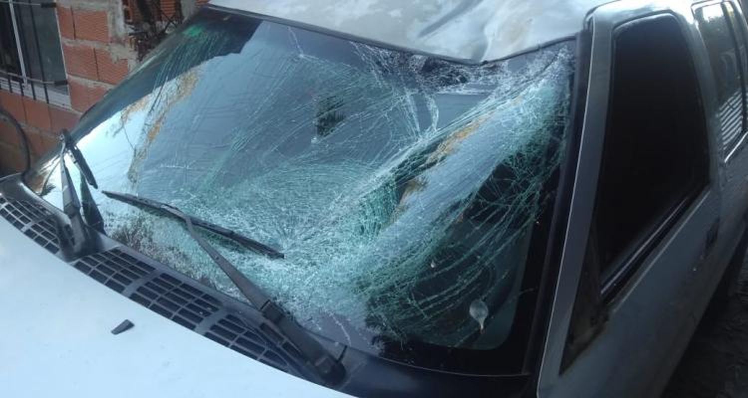 Chocó contra un caballo suelto en ruta 1001: “¿Quién me paga el arreglo de la camioneta?”