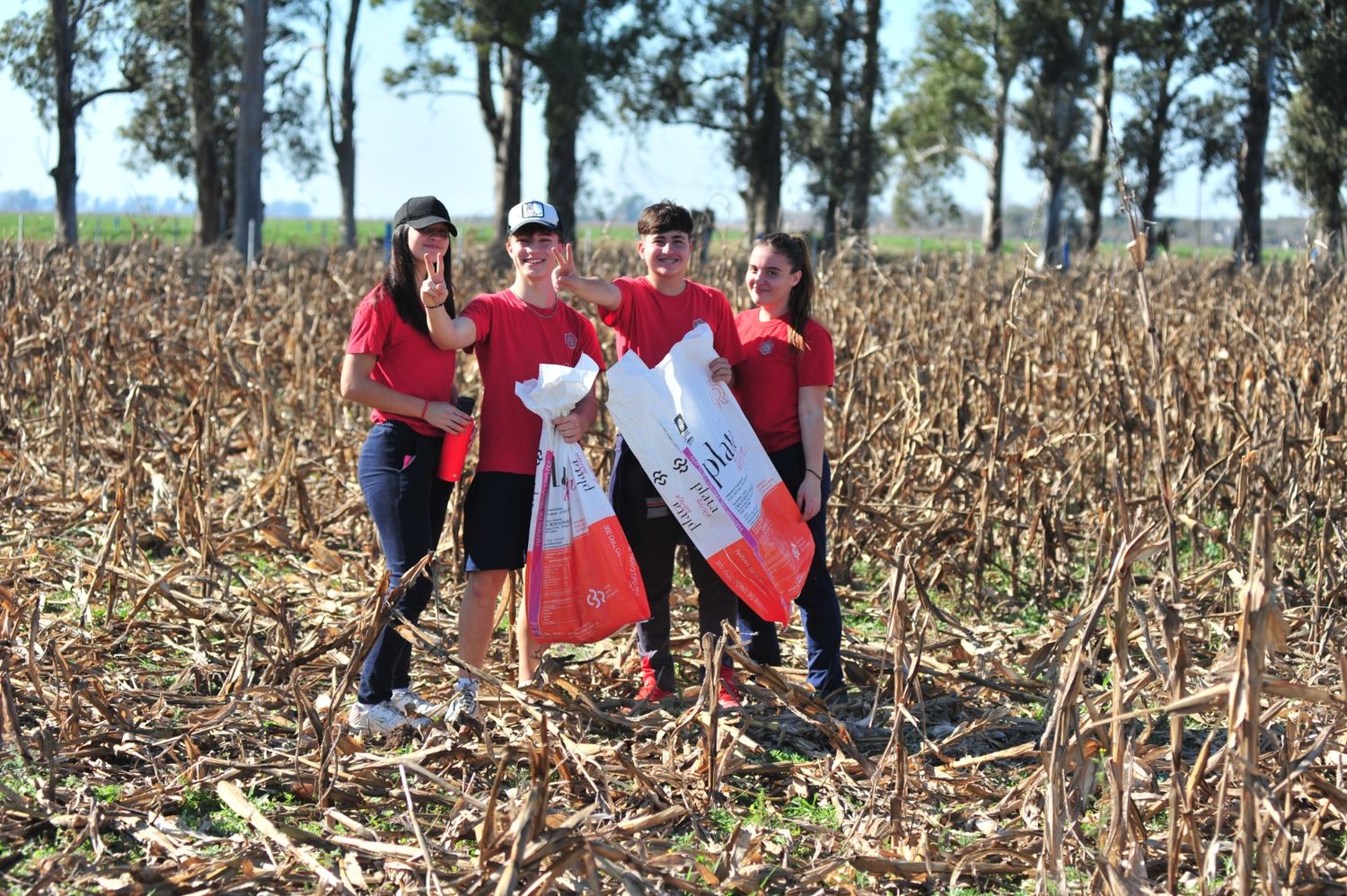 Chocleada solidaria