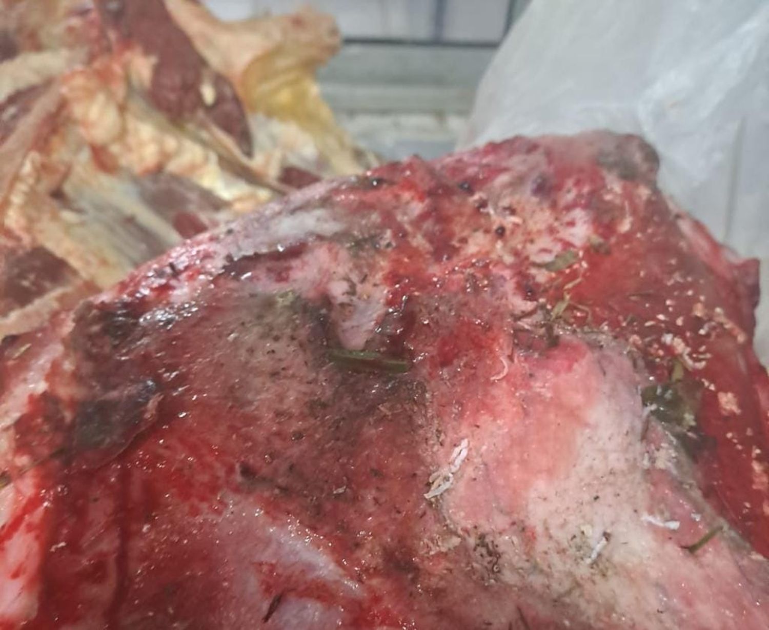 Decomisaron más de media tonelada de carne clandestina en mal estado en distintas carnicerías