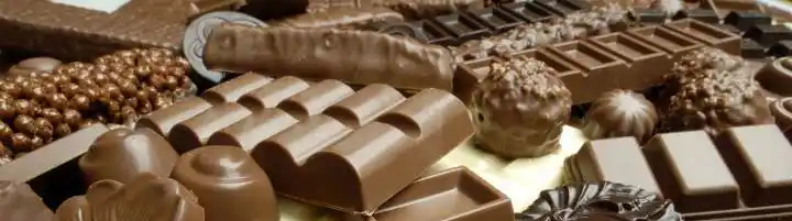 Villa Gesell: Fiesta Provincial del Chocolate Artesanal