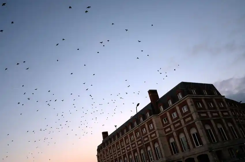 Como si fuera primavera: máxima de 22° en Mar del Plata