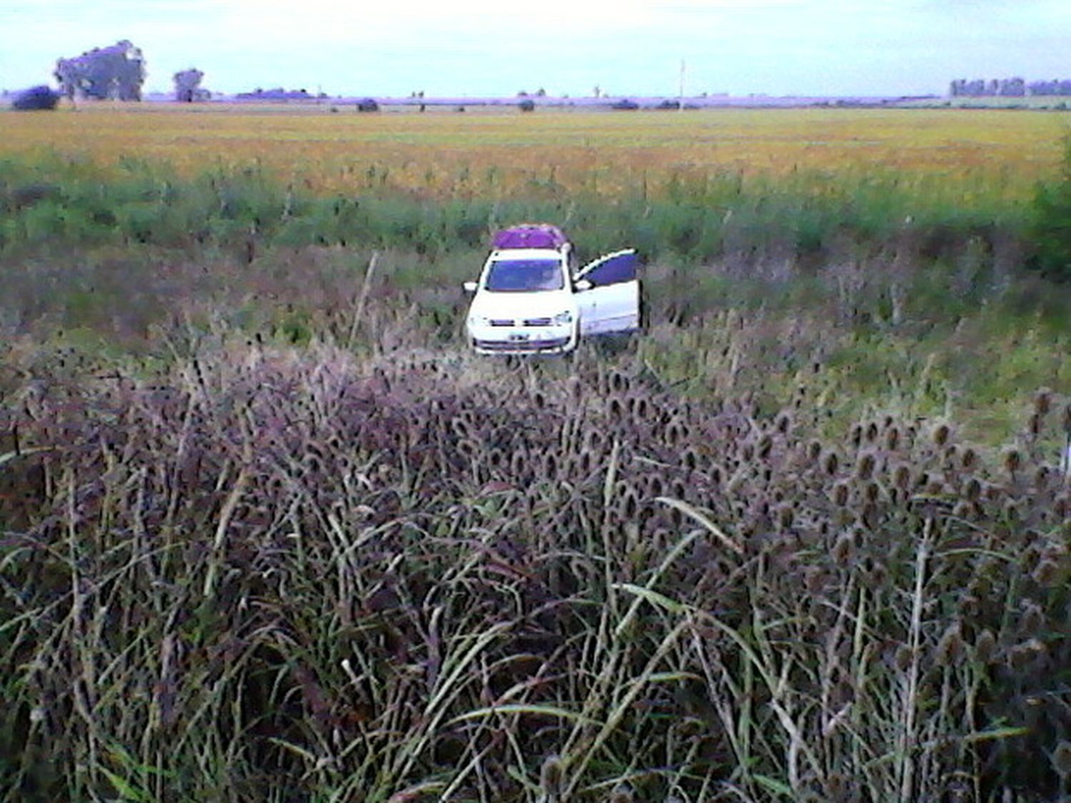 Un auto se despistó en la Ruta Provincial 16