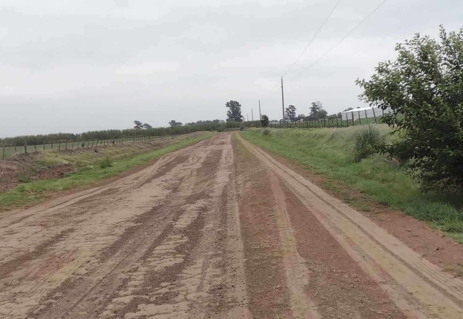 Se confirmó el campeonato nogoyaense de Rural Bike