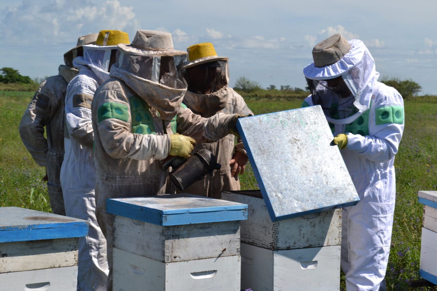 Los productores apícolas pueden gestionar el certificado de la Emergencia Agropecuaria