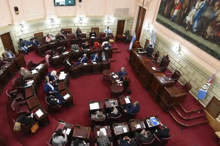 Tras la PASO, la mitad de los actuales diputados santafesinos buscarán repetir el mandato