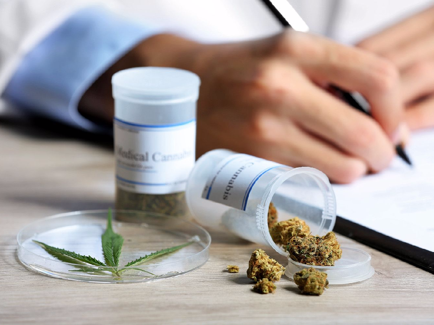 Un pueblo bonaerense aprobó cultivar cannabis para uso medicinal