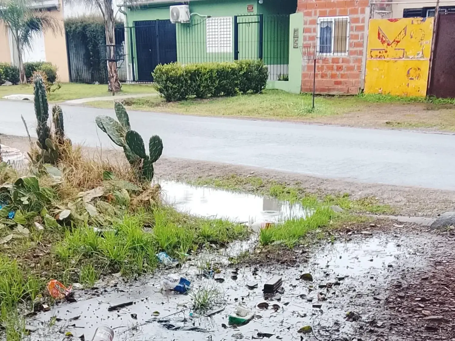Cloacas tapadas en calle Manuel Iglesias: "Hace dos meses que estamos así"