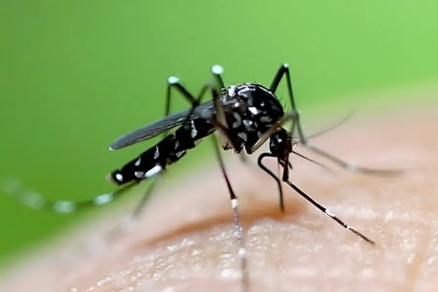 Trabajo articulado para potenciar la separación de residuos y prevenir el dengue