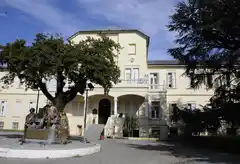 Ultimo parte médico del juvenil de Uncas que sufrió grave lesión en un partido de rugby