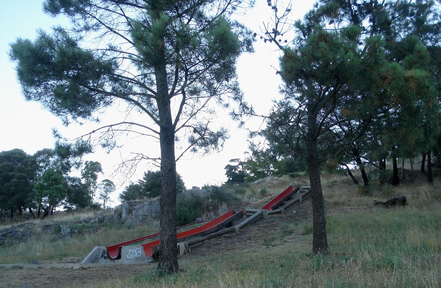 Desde Defensa del Arbolado se trabaja para concientizar y lograr un Tandil Verde