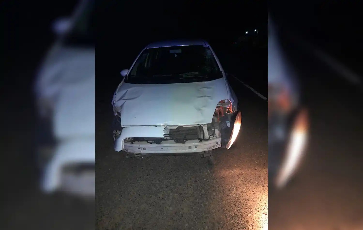 Ruta 1001: un auto chocó contra caballos sueltos
