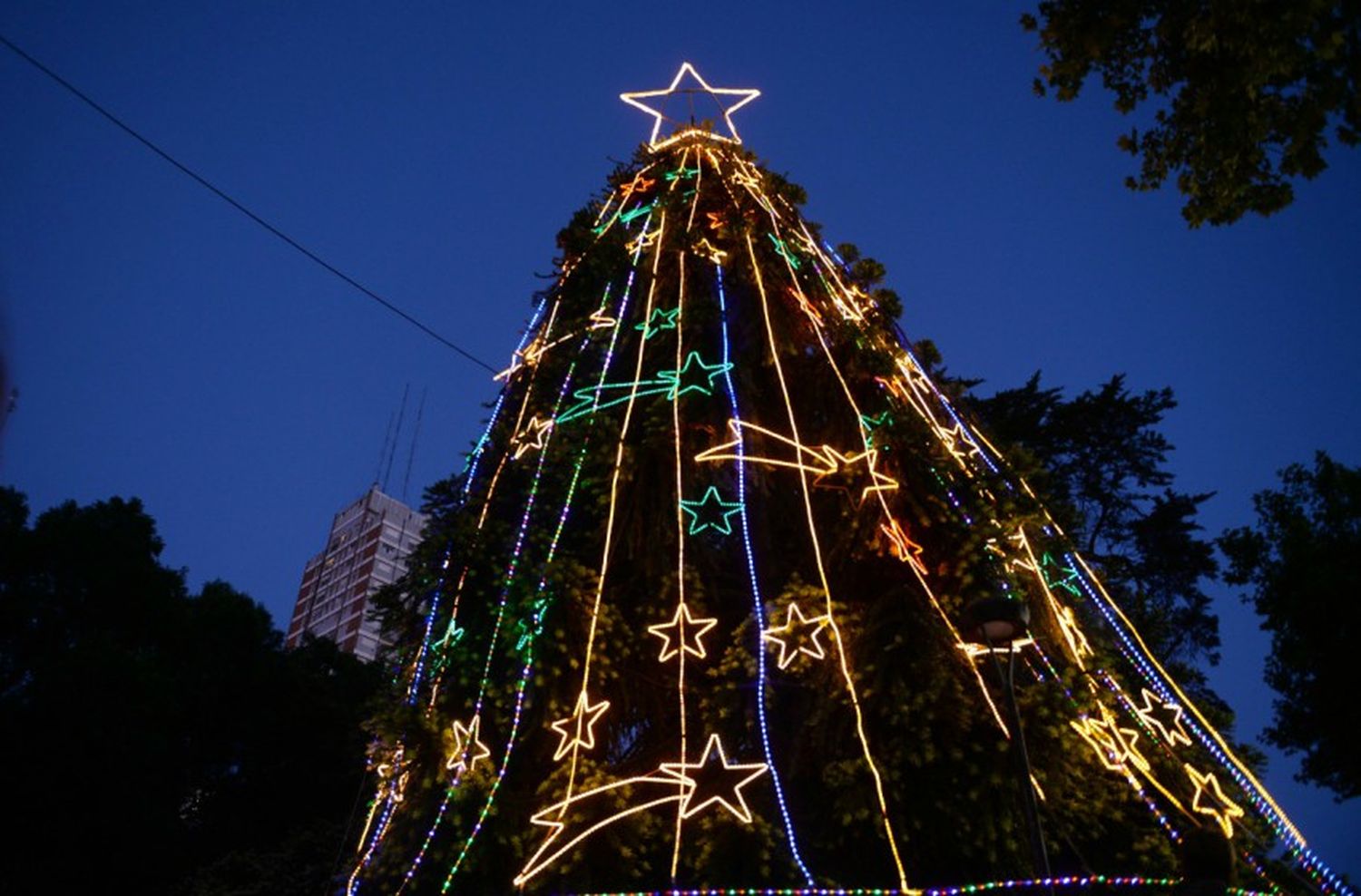 Navidad encendida en Mar del Plata