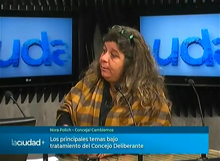 Los principales temas que analiza el Concejo Deliberante | La Ciudad