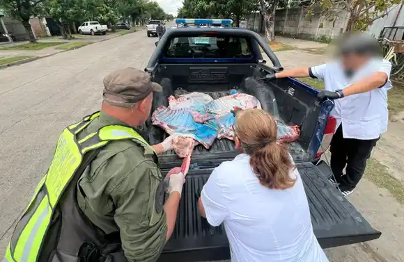 Los Pumas decomisaron 300 kilos de carne sin sellos sanitarios en cinco carnicerías