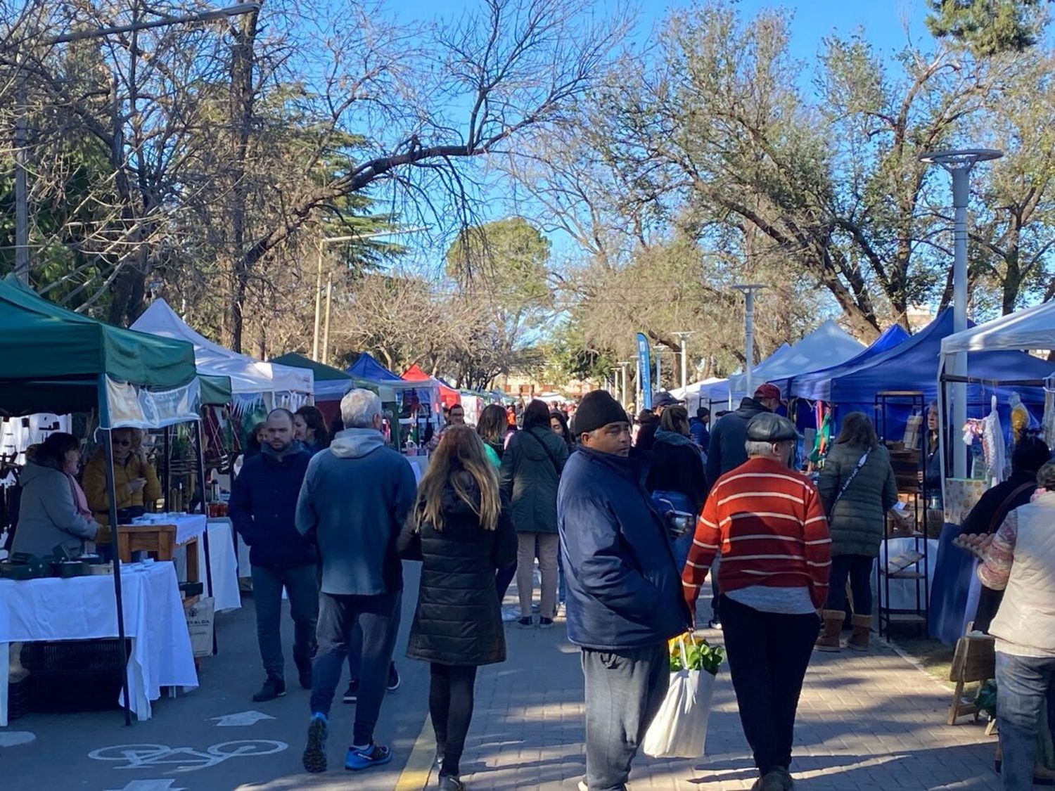 Venado Tuerto: nueva edición del Paseo de la Ciudad en el Parque Municipal 