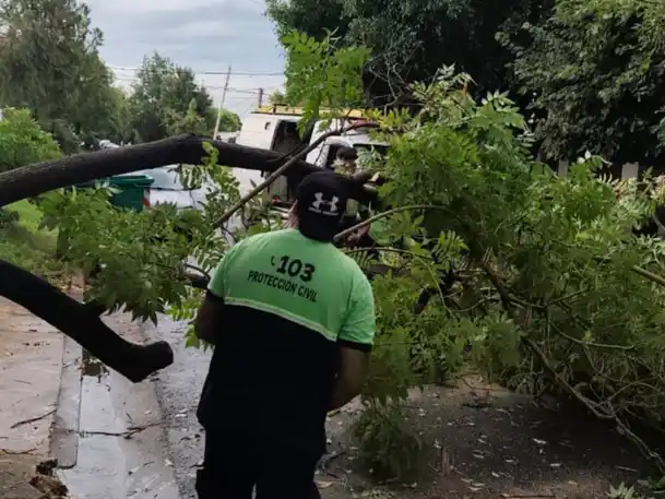 En Rosario se registraron ráfagas de hasta 83 km/h y más de 40 mm de lluvia