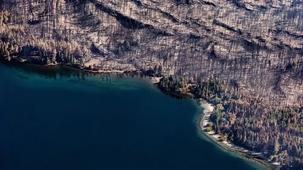 Kicillof envió brigadistas y equipamiento para combatir los incendios en la Patagonia