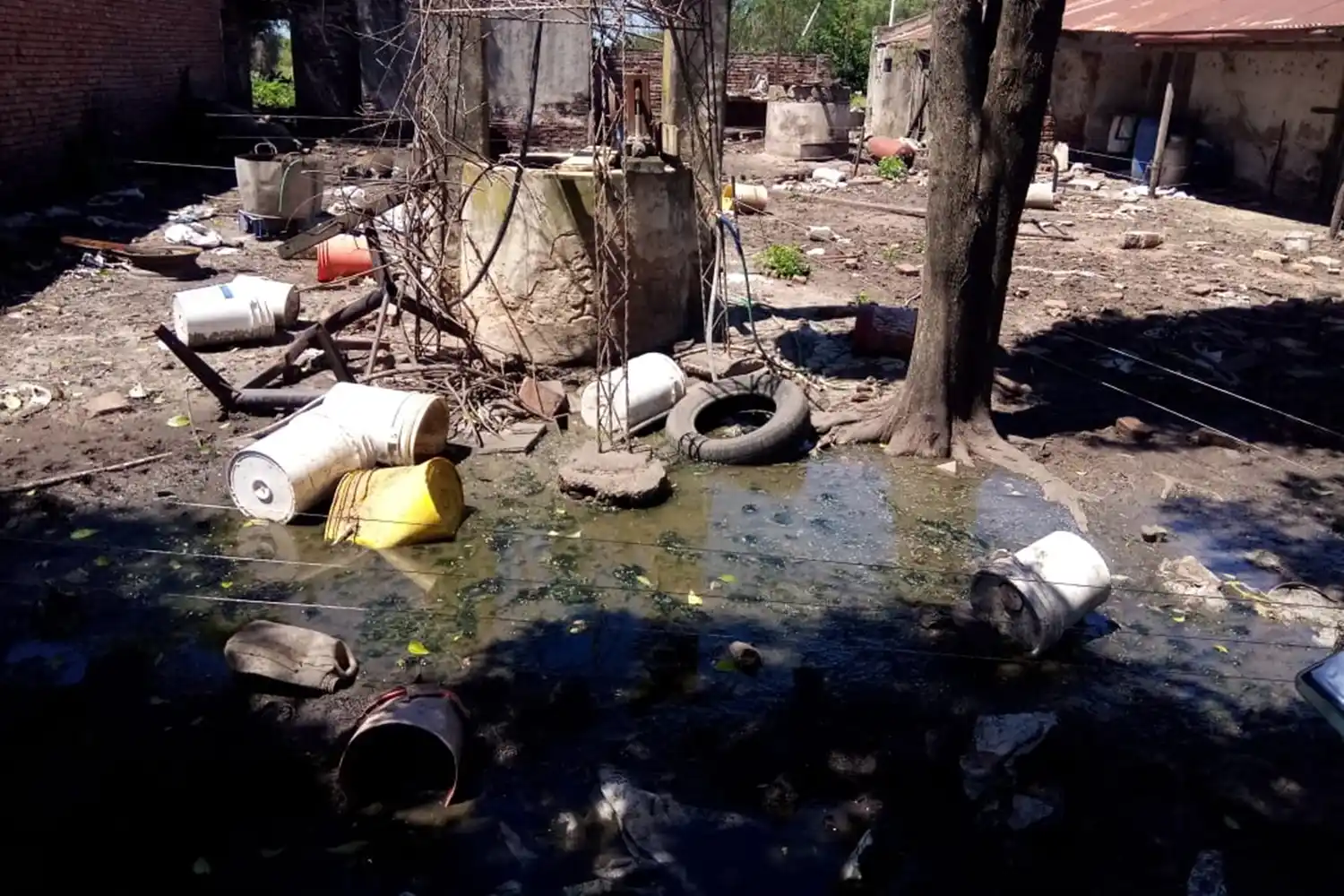 La provincia actuó ante una denuncia por riesgo ambiental generado por un establecimiento rural