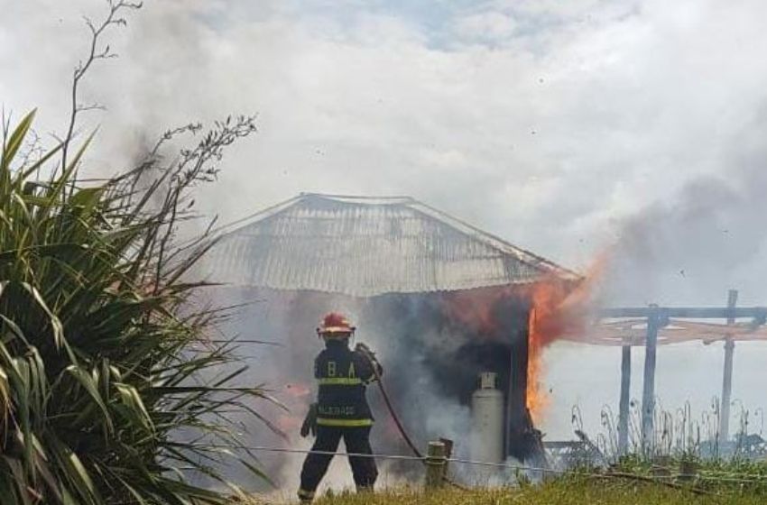 Incendio en el Aquarium: debieron evacuar a quienes lo visitaban