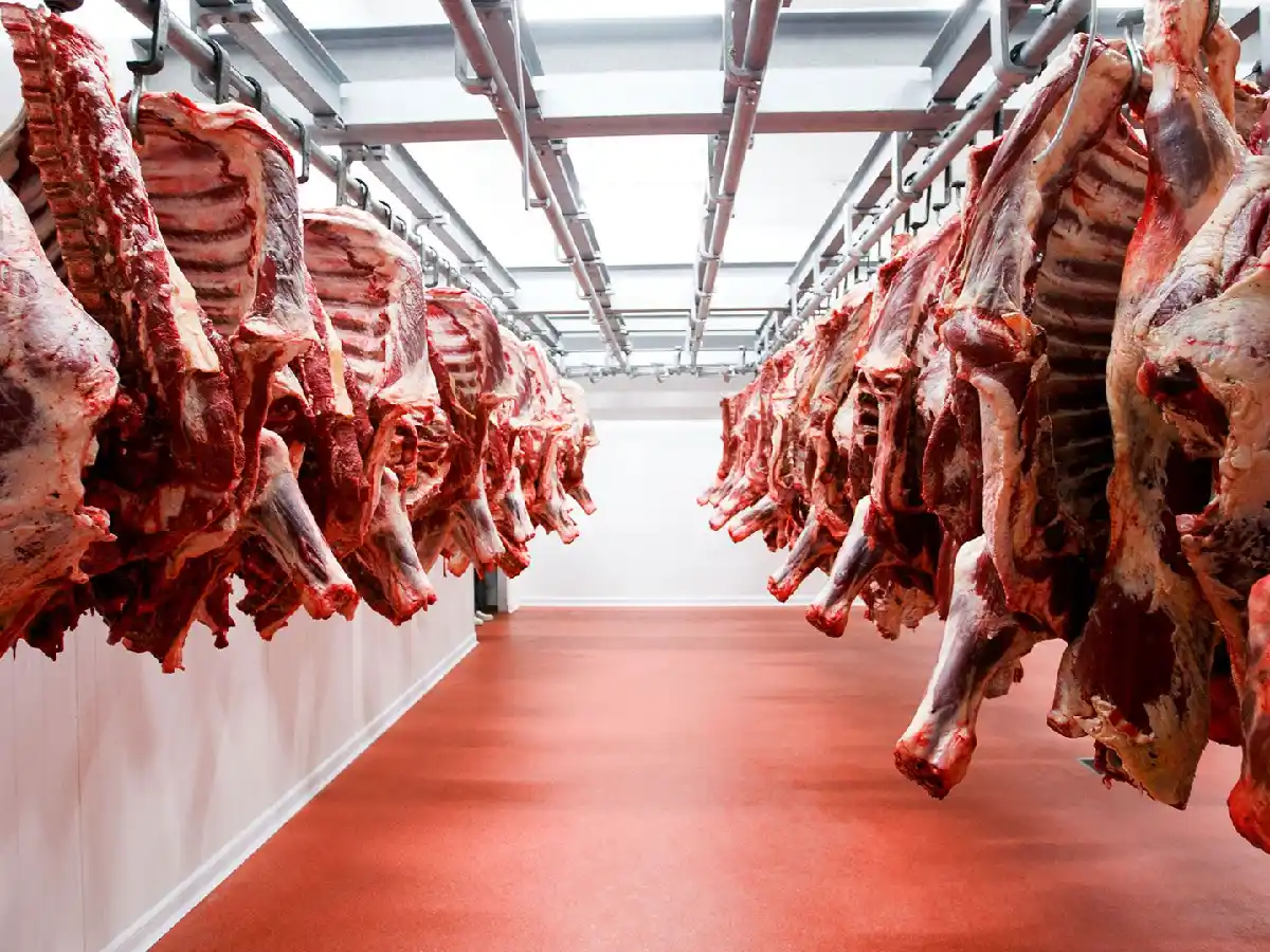 Argentina busca aumentar la producción de carne en 600.000 toneladas