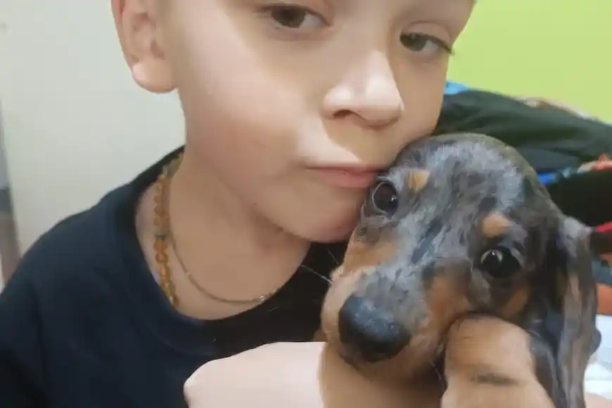 campaña solidaria - 2