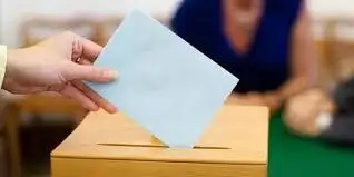 Vivir de Elecciones