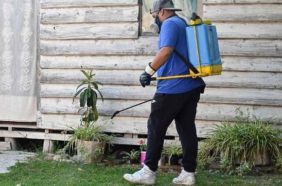 Dengue: 4.521 casos confirmados en la provincia en lo que va del año
