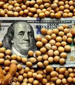 Los mercados locales en la antesala electoral