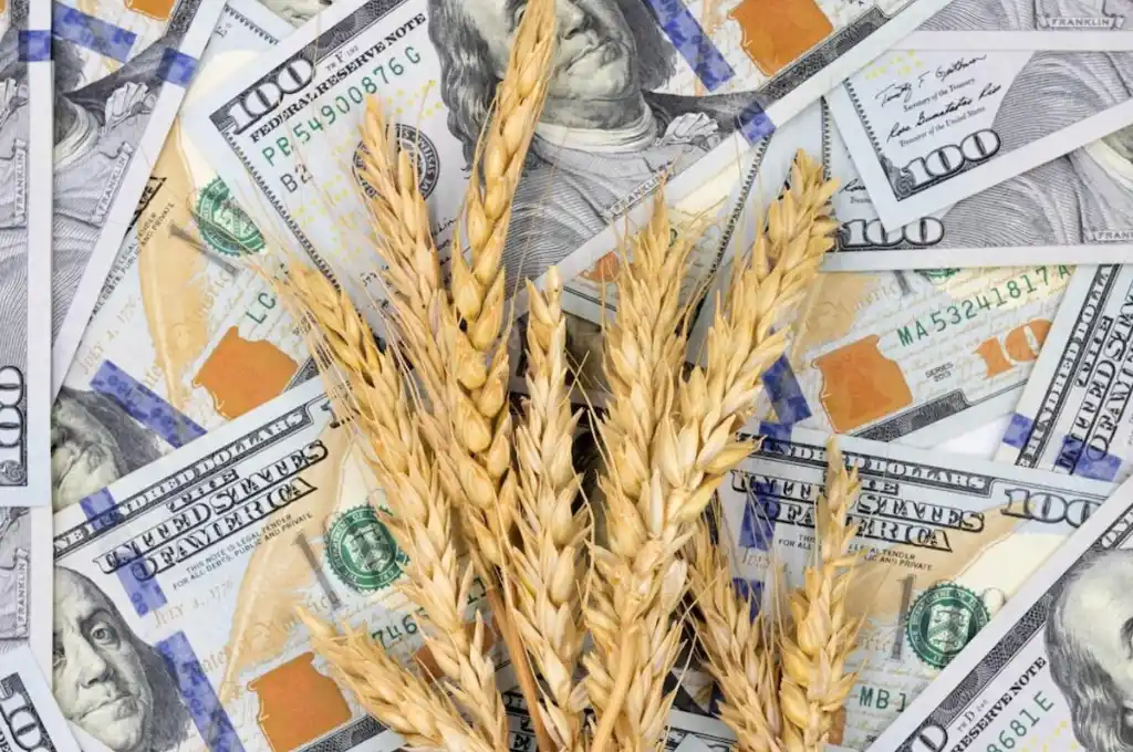 Se activó el dólar agro y el Banco Central realizó la mayor compra de divisas del año