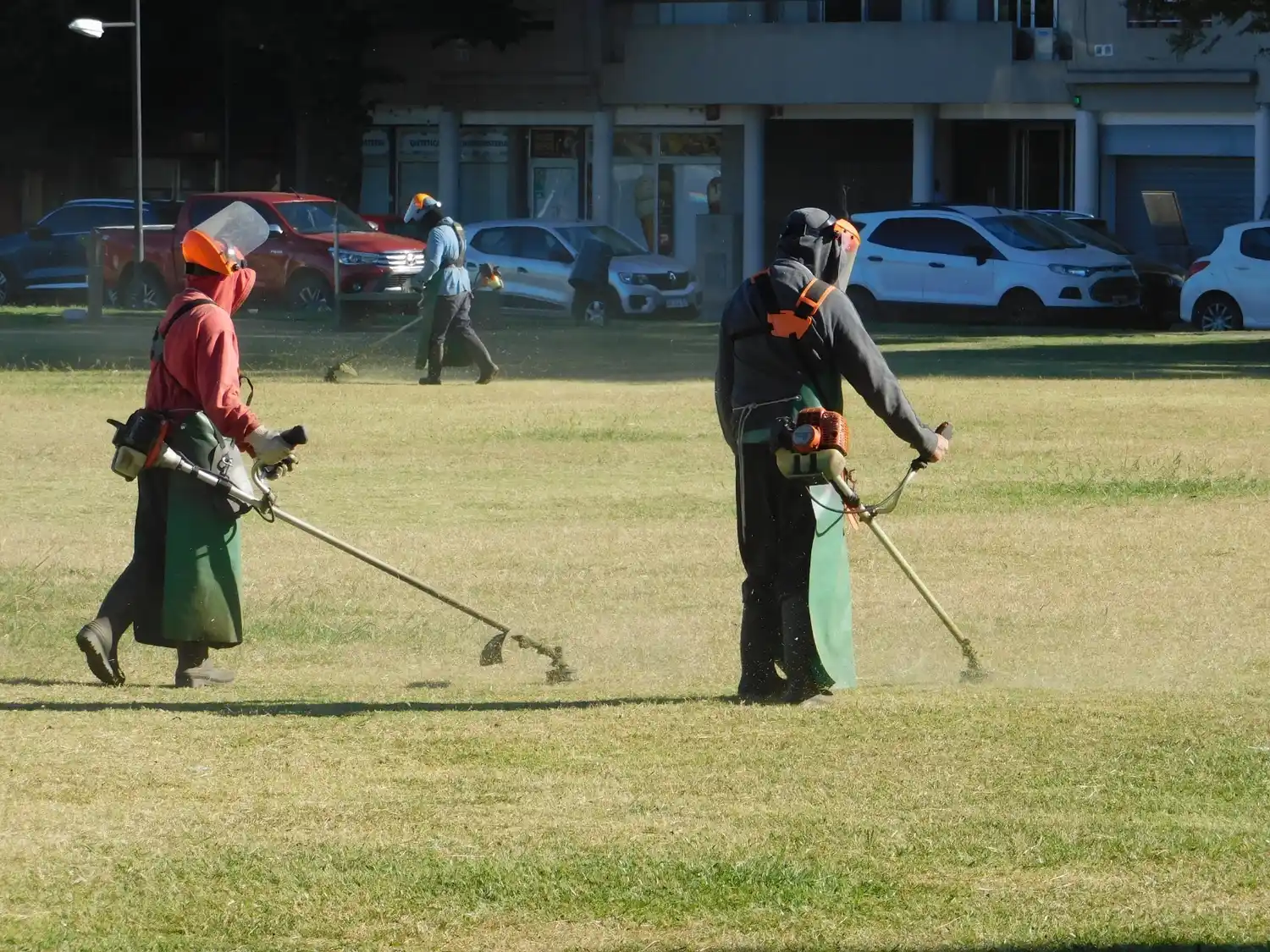 Cuadrillas trabajando en el corte de césped.