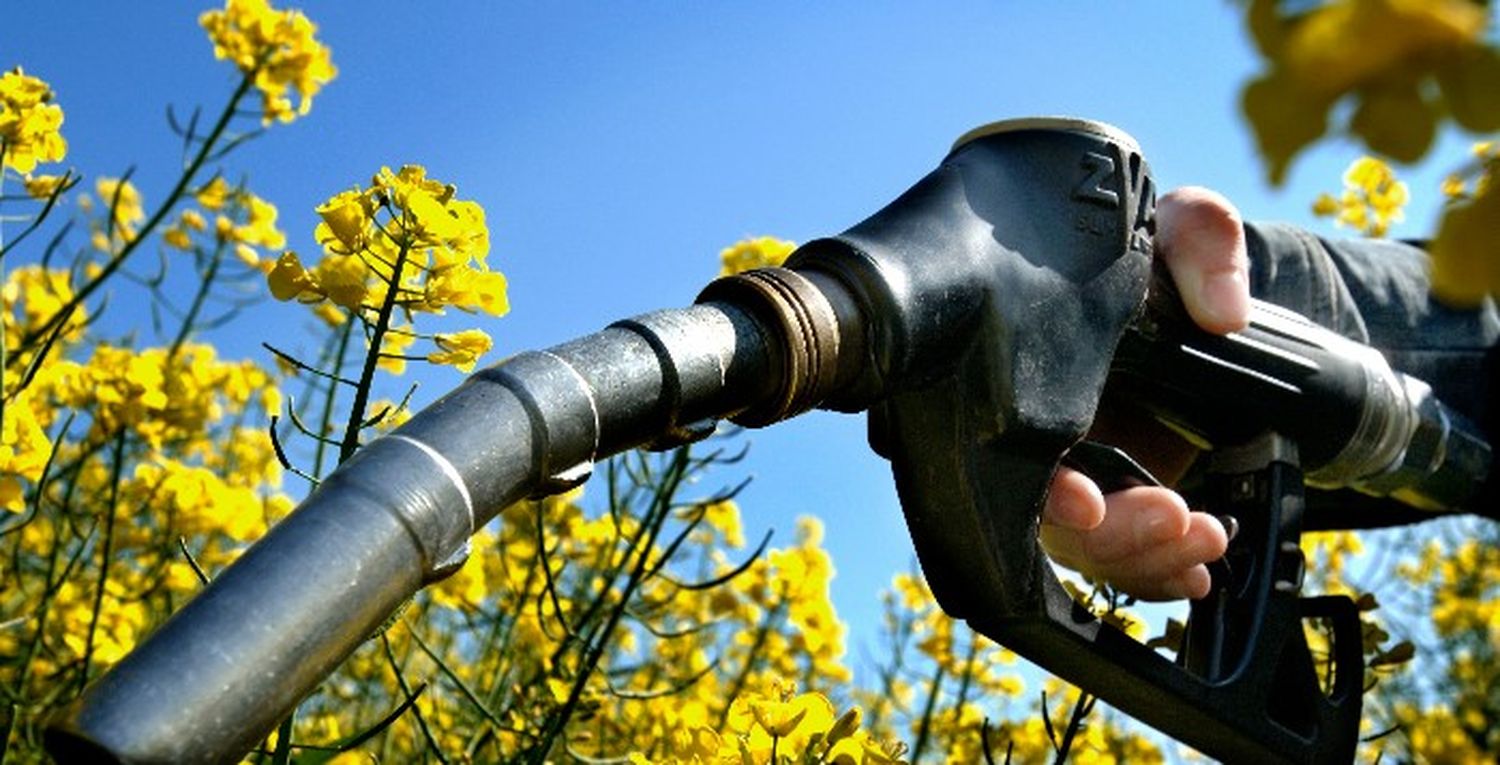 Biodiésel, una alternativa a la falta de combustible