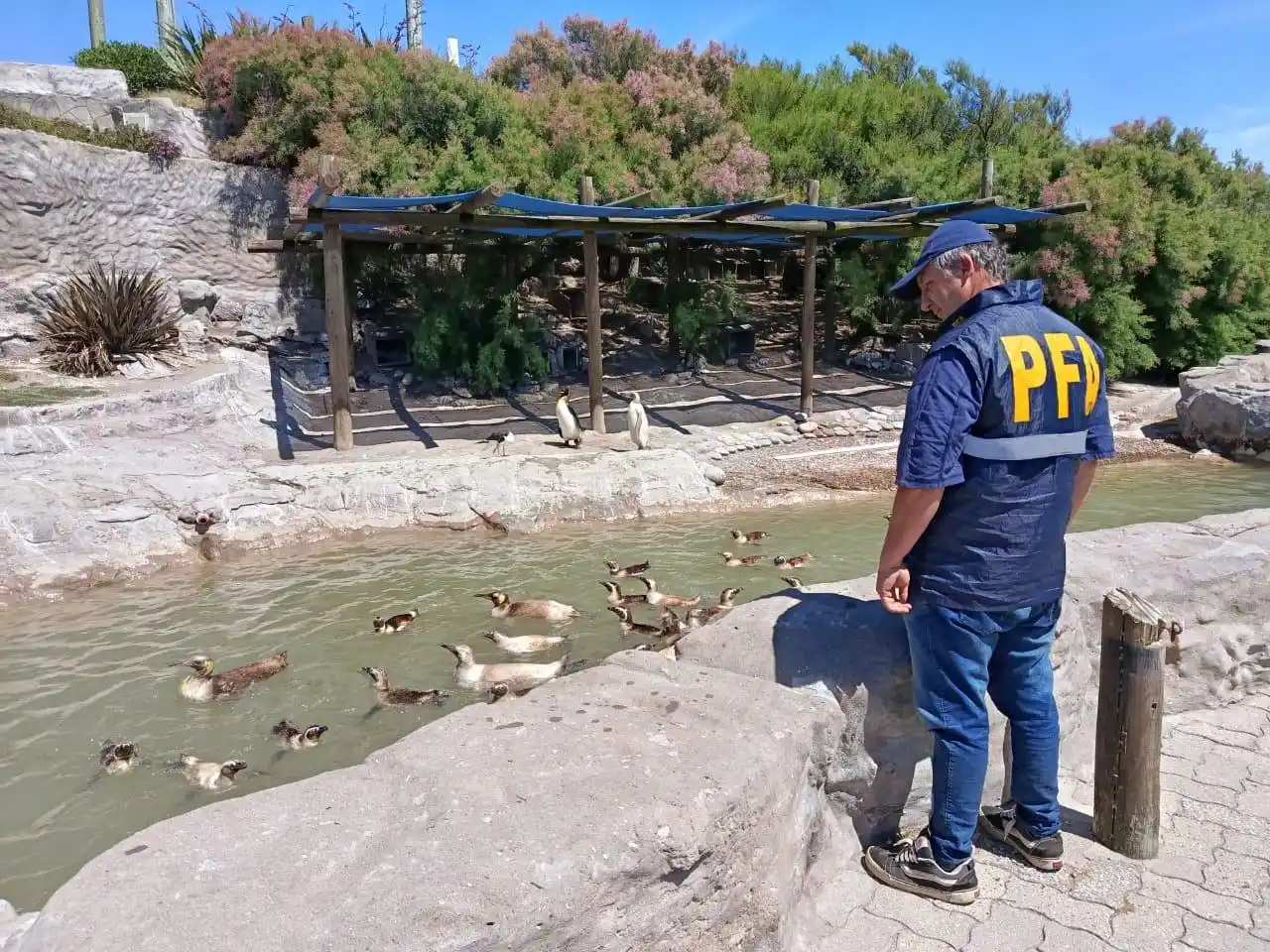 Durante el operativo se tomaron muestras de los vuelcos investigados