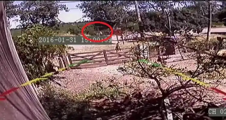 [VIDEO] Robo a Estelrrich: Así llegaron y se fueron los delincuentes