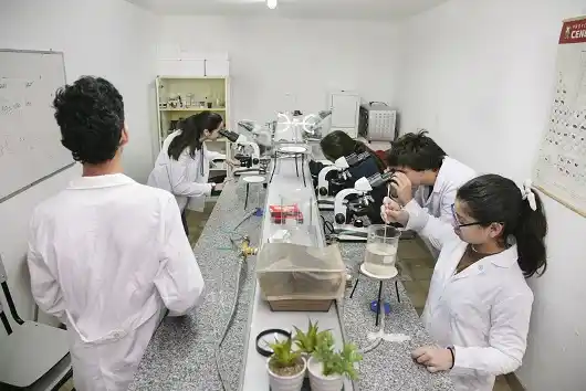 Exponen trabajos del Primer Encuentro de Jóvenes Secundarios Preuniversitarios