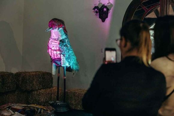Crearon un tero gigante para concientizar sobre la contaminación urbana